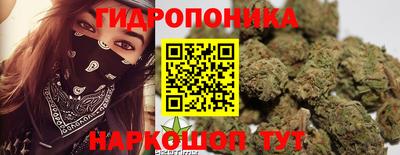 прущие крисы Берёзовский